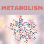 metabolism