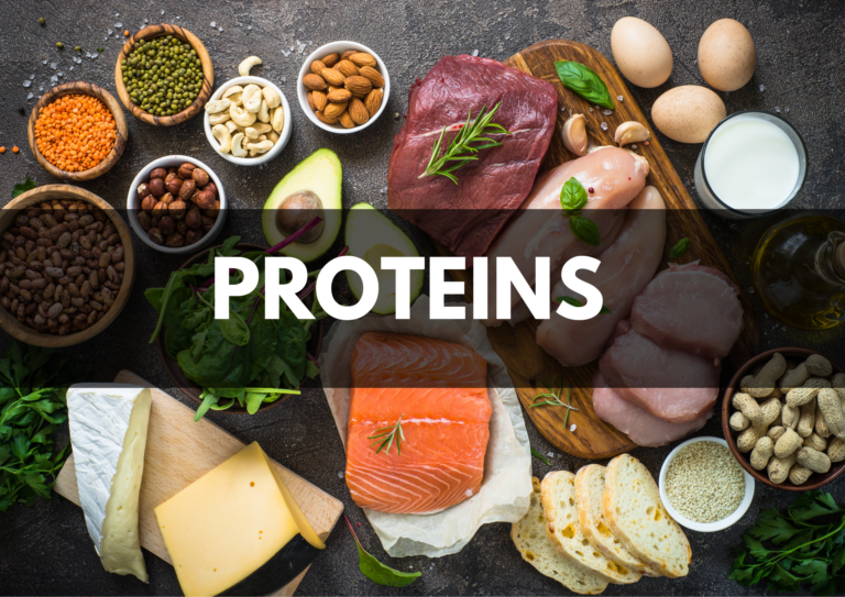 The Power of Protein: A Guide to Building a Healthy Diet